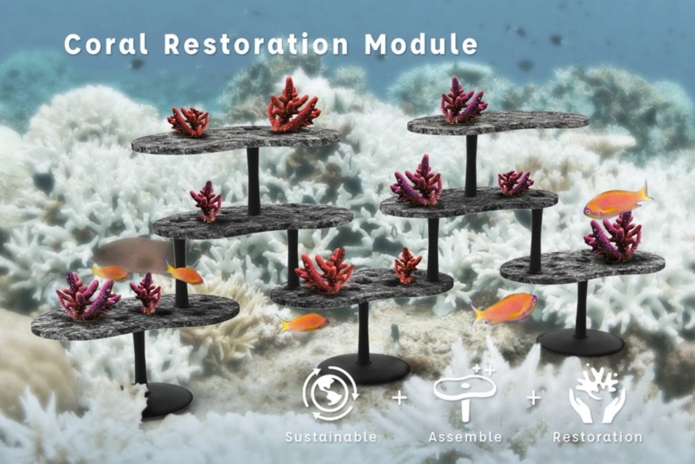 珊瑚復育模組作品照片